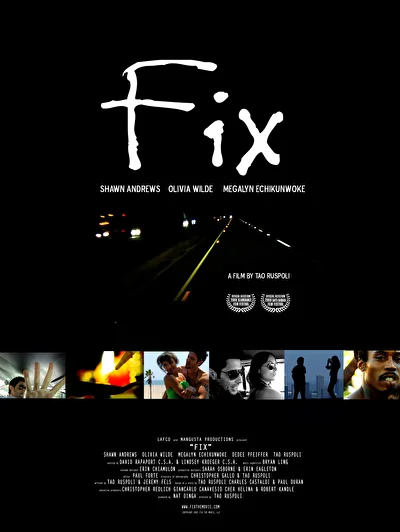 Фикс (2008)