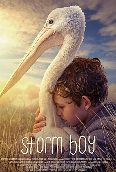 Мой друг мистер Персиваль / Штормовой мальчик (2019)